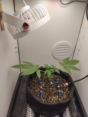 IMG_20240418_232648.jpg IMG_20240418_232648.jpg