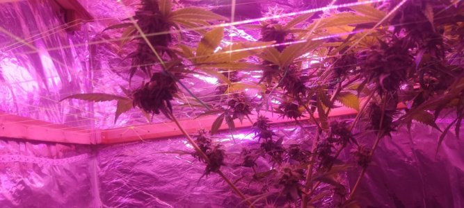 WhatsApp Image 2024-04-20 at 10.05.18 (2).jpeg