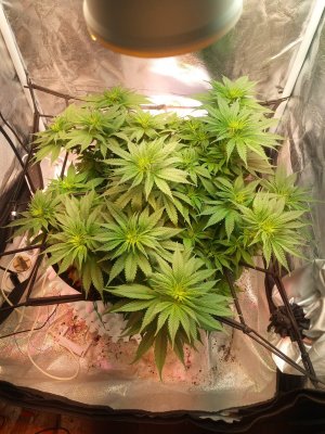 2024-04-20 112637.jpg