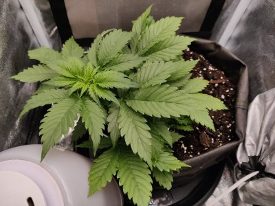 1000017946.jpg 1000017946.jpg