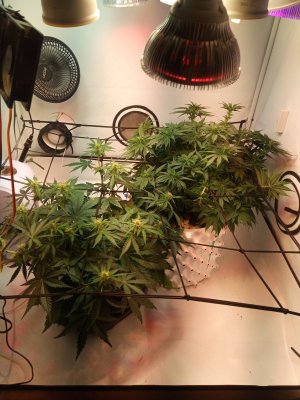 2024-04-24 141535.jpg