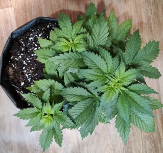 1000018004.jpg 1000018004.jpg