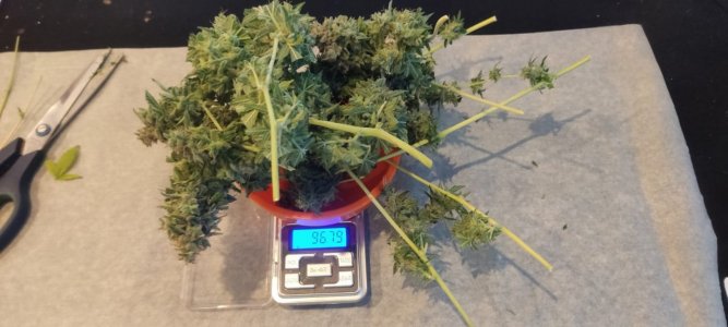 WhatsApp Image 2024-05-02 at 14.57.23 (3).jpeg