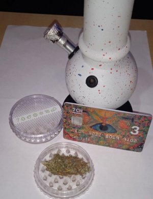 1000007228.jpg 1000007228.jpg