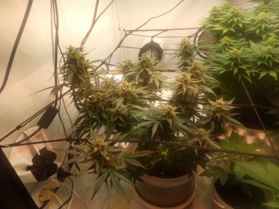 2024-05-16 133513.jpg