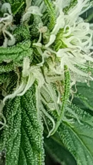 2024-5-20 8-44-40.jpg