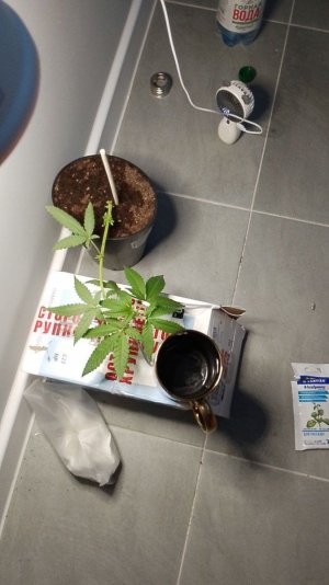 photo_2024-05-22_18-48-44 (1).jpg