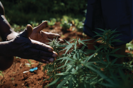 1716642601904.png 1716642601904.png