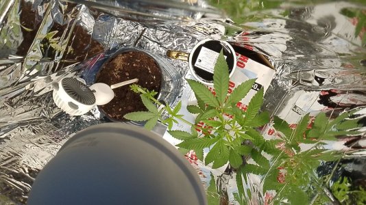 photo_2024-05-25_10-57-59.jpg photo_2024-05-25_10-57-59.jpg