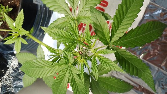 photo_2024-05-26_16-44-43.jpg photo_2024-05-26_16-44-43.jpg