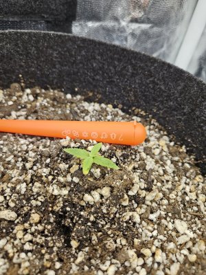 20240527_152438.jpg 20240527_152438.jpg