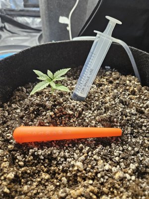 20240527_150736.jpg 20240527_150736.jpg