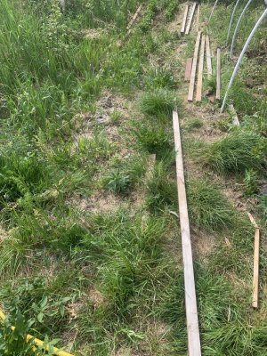 IMG_1480.jpeg IMG_1480.jpeg