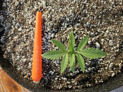 20240530_134336.jpg 20240530_134336.jpg