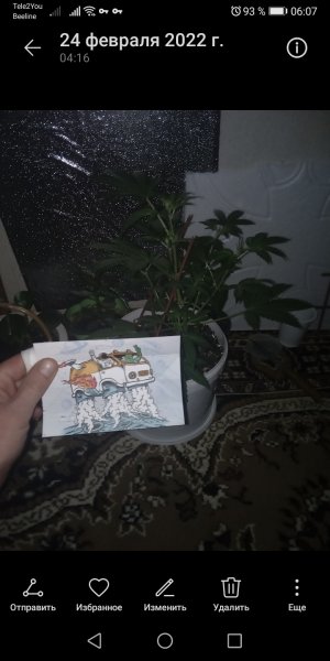 Screenshot_20220224_060740_com.huawei.photos.jpg Screenshot_20220224_060740_com.huawei.photos.jpg