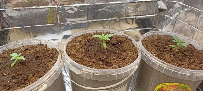 OU-uHHGx874.jpg OU-uHHGx874.jpg