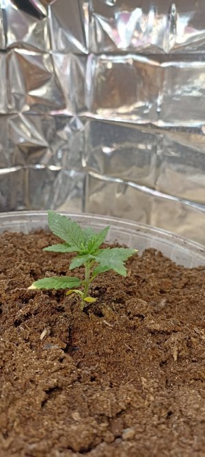 WvTRsUEkL5w.jpg WvTRsUEkL5w.jpg