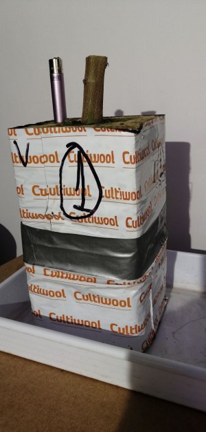 IMG_20220304_194641_270.jpg IMG_20220304_194641_270.jpg