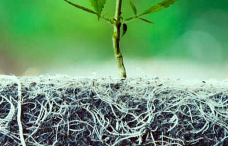 1646845203008.png 1646845203008.png