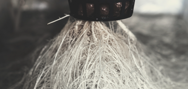 1646845393391.png 1646845393391.png