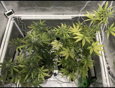 75 день (14.04).jpg