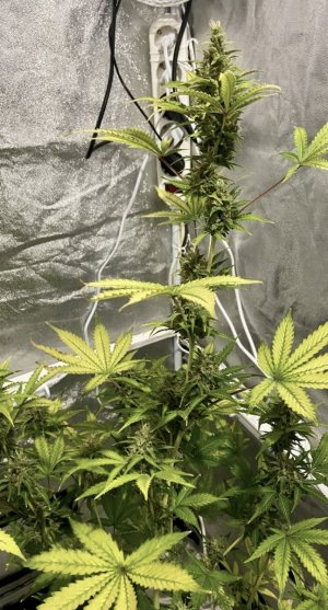 75 день (14.04.24).jpg