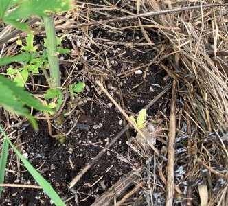 IMG_5640 — копия.jpg IMG_5640 — копия.jpg