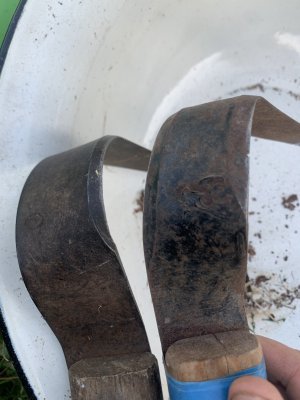 IMG_1504.jpeg IMG_1504.jpeg