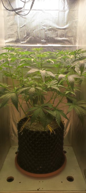 1000010466.jpg 1000010466.jpg