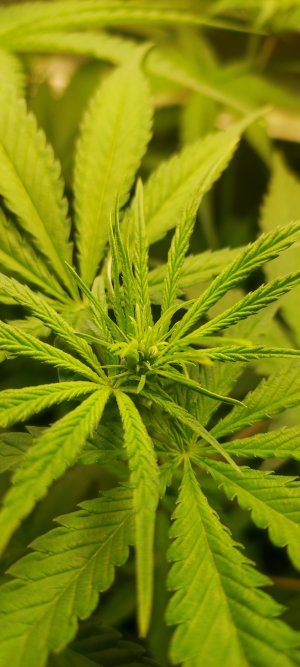 1000010510.jpg 1000010510.jpg