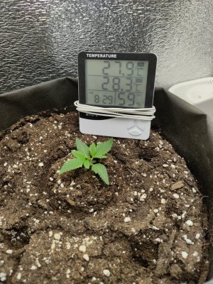 cleaned_IMG20240309203104.jpg cleaned_IMG20240309203104.jpg