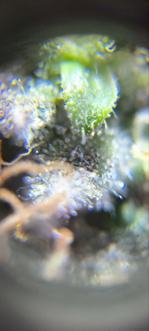 photo1719148012 (4).jpeg