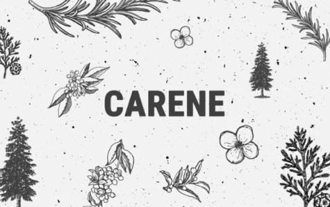 1719679304113.png 1719679304113.png