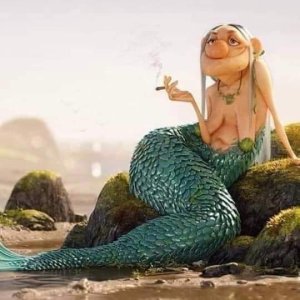 IMG-20240625-WA0000.jpg IMG-20240625-WA0000.jpg