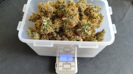 1000021006.jpg 1000021006.jpg