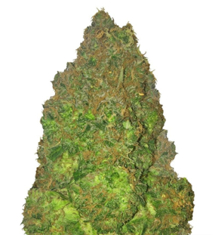 1721137227358.png 1721137227358.png