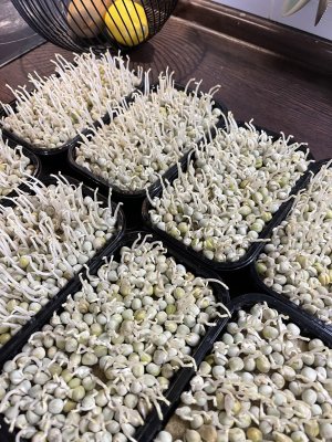 IMG_2994.jpeg IMG_2994.jpeg