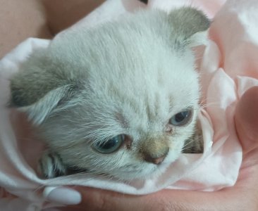 61dkvUL08hL.jpg 61dkvUL08hL.jpg