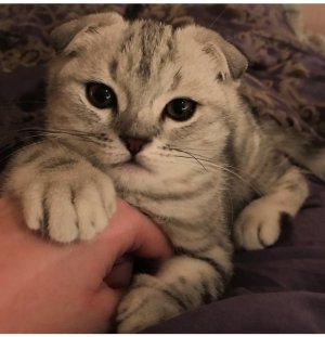 IMG_3005.jpeg IMG_3005.jpeg