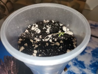 2024-08-2122.10.532910594445236448948.jpg 2024-08-2122.10.532910594445236448948.jpg