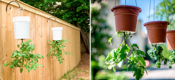 1725533976611.png 1725533976611.png