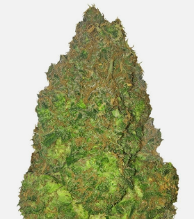 1725639504387.png 1725639504387.png