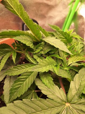 photo_2024-10-10_10-51-44 (2).jpg