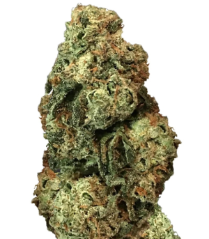 1728558111346.png 1728558111346.png