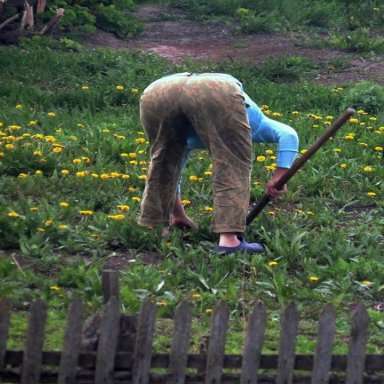 semyanich-forum.online