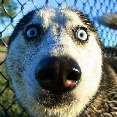 semyanich-forum.online